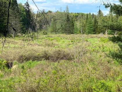 NY camps for sale