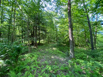 NY land for sale in Florence NY