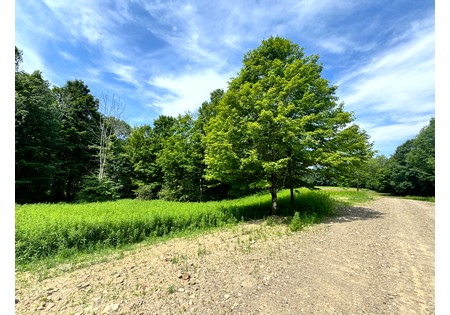 Salmon River NY land for sale