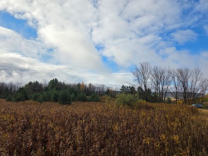 land for sale NY