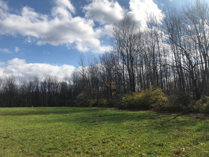 NY land for sale in Pharsalia NY