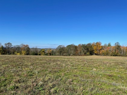 NY land for sale southern tier NY