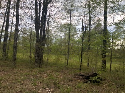 NY land for sale western Adirondacks