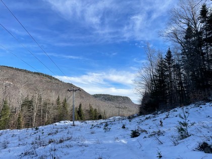 Adirondack land for sale