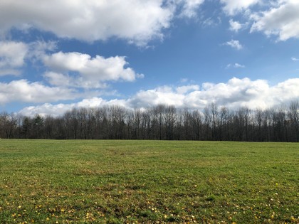 NY hunting land for sale