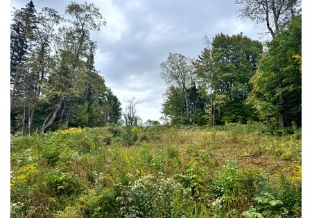 NY land for sale