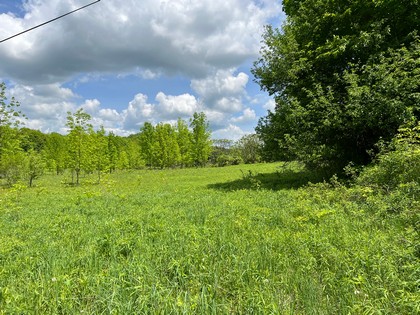 NY land for sale near Salmon River - Orwell, NY