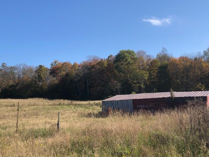 NY farm for sale Florence NY