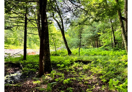 NY hunting land for sale