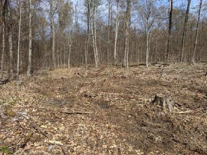 NY land for sale near Oneida Lake NY