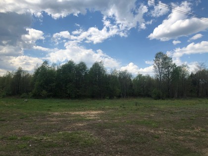 NY hunting land for sale in Diana NY