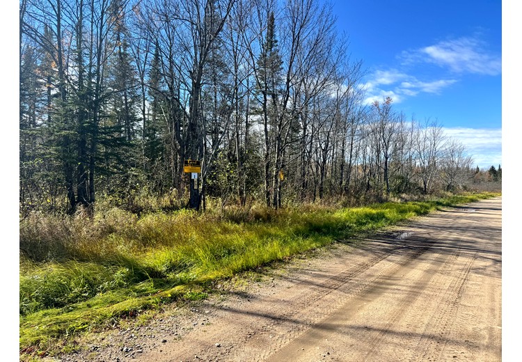 Tug Hill NY land for sale