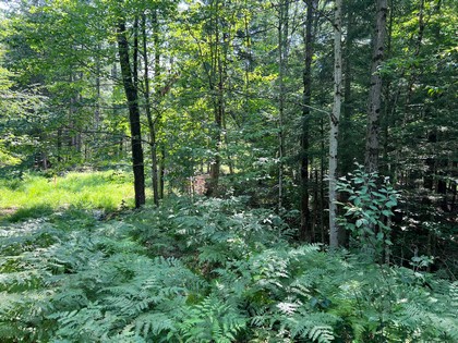 Adirondack area land for sale