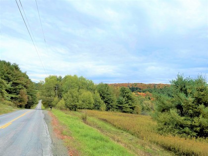 Catksill area NY land for sale