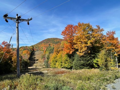 Adirondack land for sale