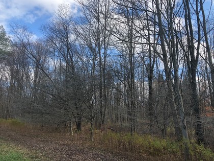 NY land for sale in Pharsalia NY