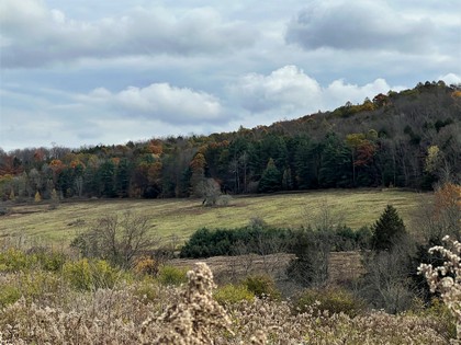 NY waterfront land for sale in Broome County NY