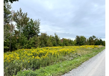 NY hunting land