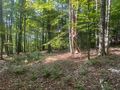NY land for sale