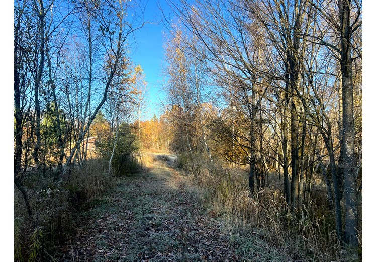 NY cabins for sale