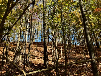 Southern Tier NY land for sale 