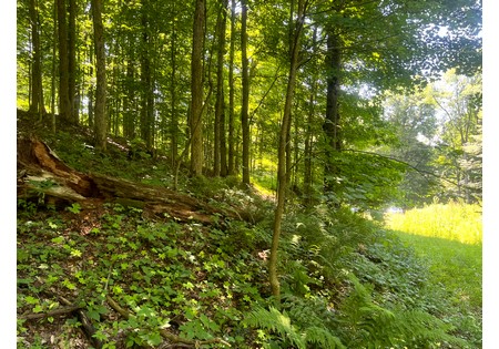NY camps for sale