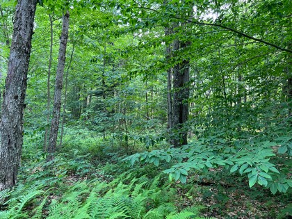 NY hunting land for sale, land and hunting camps, ny properties, christmas associates