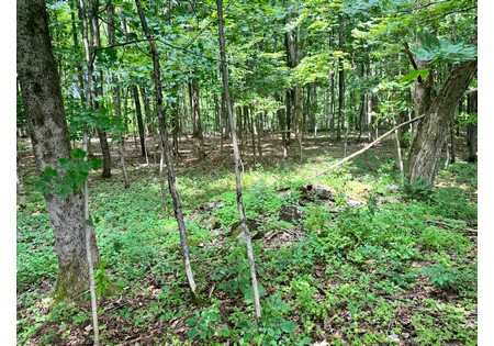 NY land for sale
