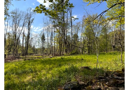Tug Hill NY land for sale