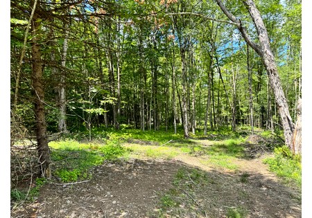 NY land for sale