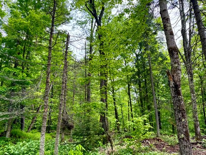 Adirondack waterfront land for sale NY