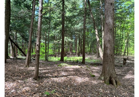 NY hunting land for sale