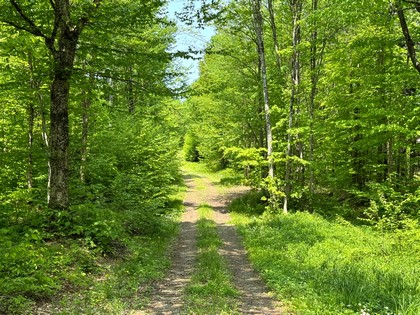 NY camps for sale
