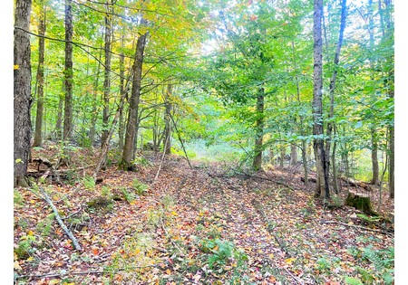 Tug Hill NY hunting land for sale