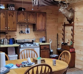 Adirondack camp for sale