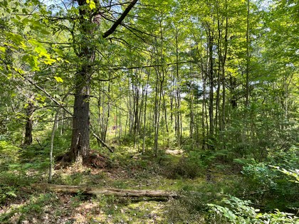 Building lot for home site or camp site in Vienna, NY