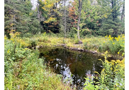 NY land for sale