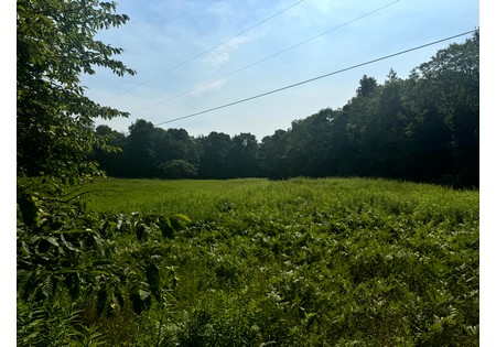 NY Salmon River area land sale