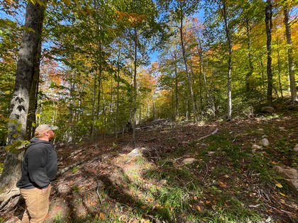 Adirondack land for sale