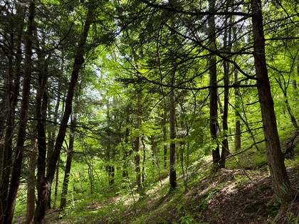 NY waterfront land for sale