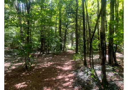 NY hunting land for sale