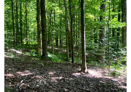 NY hunting land for sale