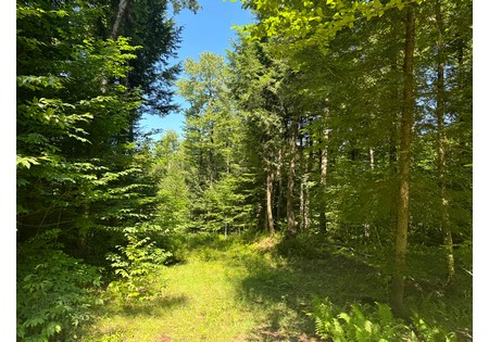 NY hunting land for sale