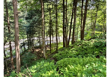 NY hunting land for sale