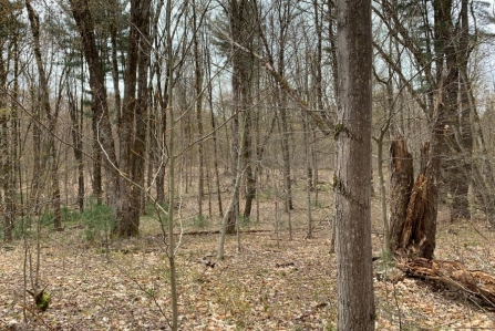 hunting land for sale in vienna ny stone barn state forest from land and camps