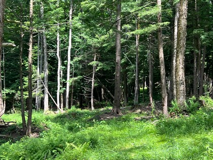 NY land for sale