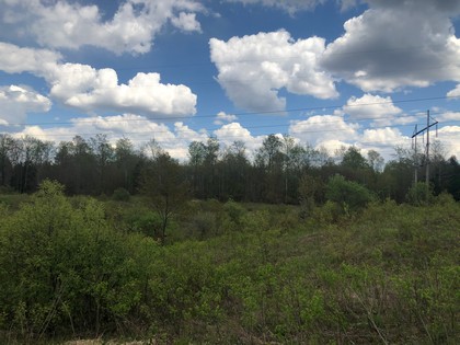 NY hunting land - Adirondacks