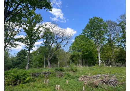 Tug Hill NY land for sale