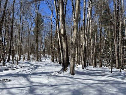 NY land for sale