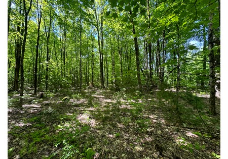 NY land for sale 